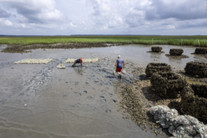 Two figures work in shallow ocean water.